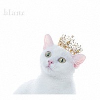 Ａｉｍｅｒ 「ＢＥＳＴ　ＳＥＬＥＣＴＩＯＮ　“ｂｌａｎｃ”」