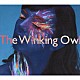 Ｔｈｅ　Ｗｉｎｋｉｎｇ　Ｏｗｌ「Ｉｎｔｏ　Ａｎｏｔｈｅｒ　Ｗｏｒｌｄ」