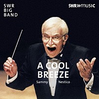 ＳＷＲビッグ・バンド「 Ａ　Ｃｏｏｌ　Ｂｒｅｅｚｅ」