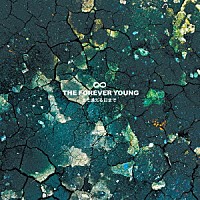 ＴＨＥ　ＦＯＲＥＶＥＲ　ＹＯＵＮＧ「 また逢える日まで」