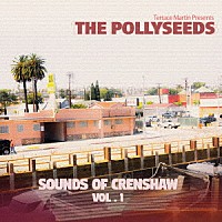 テラス・マーティン「 Ｓｏｕｎｄｓ　ｏｆ　Ｃｒｅｎｓｈａｗ，　Ｖｏｌ．１」