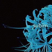 神はサイコロを振らない「 ｓｕｂｉｍ」