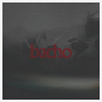 ｂａｃｈｏ「 陽炎」