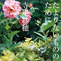 寺尾紗穂「 たよりないもののために」