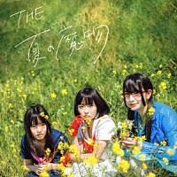 ＴＨＥ　夏の魔物「 シン・マモノボンバイエ　ＥＰ」