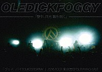 ＯＬＥＤＩＣＫＦＯＧＧＹ「 壁中、月光　眼を剥く」