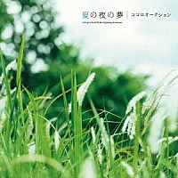 ココロオークション「 夏の夜の夢」