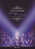 ＡＮＧＥＲＥＭＥ「 アンジュルム　コンサートツアー２０１７春～変わるもの　変わらないもの～」