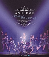 ＡＮＧＥＲＥＭＥ「 アンジュルム　コンサートツアー２０１７春～変わるもの　変わらないもの～」