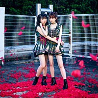 Ｔｈｅ　Ｉｄｏｌ　Ｆｏｒｍｅｒｌｙ　Ｋｎｏｗｎ　Ａｓ　ＬＡＤＹＢＡＢＹ「 Ｐｉｎｋｙ！　Ｐｉｎｋｙ！」