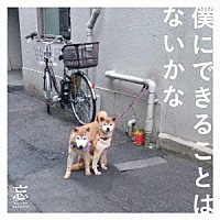 忘れらんねえよ「 僕にできることはないかな」