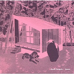 Ｓｏｕｔｈ　Ｐｅｎｇｕｉｎ「ｈｏｕｓｅ」