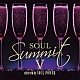 （Ｖ．Ａ．） ブランディー＆モニカ シルク グレン・ジョーンズ シール ジョー アン・ヴォーグ ＳＷＶ「ソウル・サミットⅤ　ｓｅｌｅｃｔｅｄ　ｂｙ　ＳＯＵＬ　ＰＯＷＥＲ」