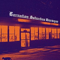 カーネーション「 Ｓｕｂｕｒｂａｎ　Ｂａｒｏｑｕｅ」