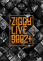 ＺＩＧＧＹ「 ＺＩＧＧＹ　ＬＩＶＥ　９００２　＋」