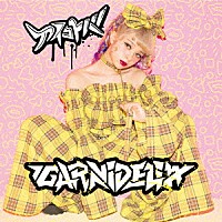 ＧＡＲＮｉＤＥＬｉＡ「 アイコトバ」