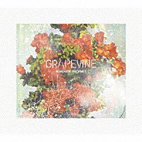 ＧＲＡＰＥＶＩＮＥ「 ＲＯＡＤＳＩＤＥ　ＰＲＯＰＨＥＴ」