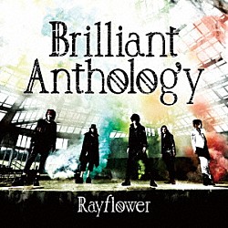 Ｒａｙｆｌｏｗｅｒ「Ｂｒｉｌｌｉａｎｔ　Ａｎｔｈｏｌｏｇｙ」