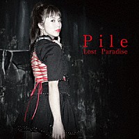 Ｐｉｌｅ「 Ｌｏｓｔ　Ｐａｒａｄｉｓｅ」