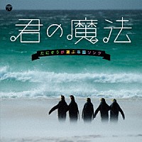 （キッズ）「 君の魔法　たにぞうが選ぶ卒園ソング」