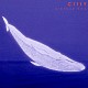 ＣｉｔｔＹ「ＳＩＤＥＣＡＲ　ＤＯＧ」