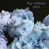 （Ｖ．Ａ．）「 ＰＯＰ　ＡＭＢＩＥＮＴ　２０１８」