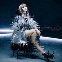 ＧＡＲＮｉＤＥＬｉＡ「 Ｅｒｒｏｒ」