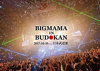 ＢＩＧＭＡＭＡ「 ＢＩＧＭＡＭＡ　ｉｎ　ＢＵＤＯＫＡＮ」