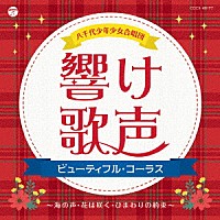 八千代少年少女合唱団「 響け歌声　ビューティフル・コーラス～海の声・花は咲く・ひまわりの約束～」