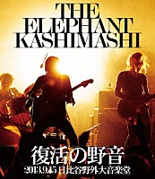 エレファントカシマシ「 復活の野音　２０１３．９．１５　日比谷野外大音楽堂」