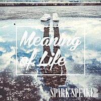 ＳＰＡＲＫ　ＳＰＥＡＫＥＲ「 Ｍｅａｎｉｎｇ　ｏｆ　Ｌｉｆｅ」