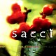 ｓａｃｃｉ「ＢＲＩＧＨＴ　ＣＥＬＬＳ」