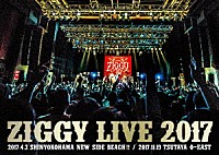 ＺＩＧＧＹ「 ＬＩＶＥ　２０１７」