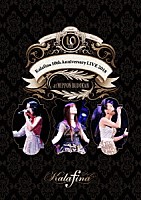 Ｋａｌａｆｉｎａ「 Ｋａｌａｆｉｎａ　１０ｔｈ　Ａｎｎｉｖｅｒｓａｒｙ　ＬＩＶＥ　２０１８　ａｔ　日本武道館」