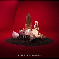 ＥＮＤＲＥＣＨＥＲＩ 「ＨＹＢＲＩＤ　ＦＵＮＫ」