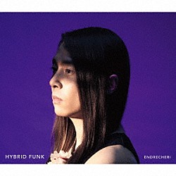 ＥＮＤＲＥＣＨＥＲＩ「ＨＹＢＲＩＤ　ＦＵＮＫ」