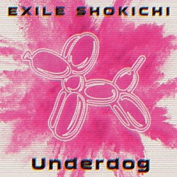 ＥＸＩＬＥ　ＳＨＯＫＩＣＨＩ「Ｕｎｄｅｒｄｏｇ」