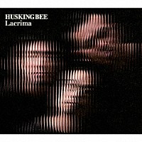 ＨＵＳＫＩＮＧ　ＢＥＥ「 Ｌａｃｒｉｍａ」