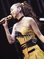 安室奈美恵「 ｎａｍｉｅ　ａｍｕｒｏ　Ｆｉｎａｌ　Ｔｏｕｒ　２０１８　～Ｆｉｎａｌｌｙ～　（東京ドーム最終公演＋２５周年沖縄ライブ＋札幌ドーム公演）」