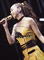 安室奈美恵「 ｎａｍｉｅ　ａｍｕｒｏ　Ｆｉｎａｌ　Ｔｏｕｒ　２０１８　～Ｆｉｎａｌｌｙ～　（東京ドーム最終公演＋２５周年沖縄ライブ＋札幌ドーム公演）」