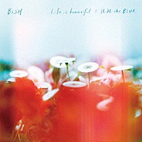 ＢｉＳＨ「 Ｌｉｆｅ　ｉｓ　ｂｅａｕｔｉｆｕｌ／ＨｉＤＥ　ｔｈｅ　ＢＬＵＥ」