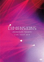 田口淳之介「 ＤＩＭＥＮＳＩＯＮＳ　ＪＵＮＮＯＳＵＫＥ　ＴＡＧＵＣＨＩ　ＬＩＶＥ　ＴＯＵＲ　２０１８」