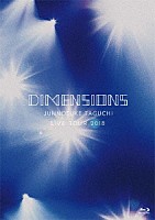 田口淳之介「 ＤＩＭＥＮＳＩＯＮＳ　ＪＵＮＮＯＳＵＫＥ　ＴＡＧＵＣＨＩ　ＬＩＶＥ　ＴＯＵＲ　２０１８」