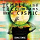 ＣＯＳＭＩＣ　ＴＥＭＰＬＥ 今泉総之輔 須長和広 福井アミ パトリシア・マークス「ＴＥＭＰＬＥ　ａｎｄ　ＴＲＥＥ　ｍｅａｎｓ　ｌｉｋｅ　ａ　ＣＯＳＭＩＣ」