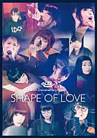 ＢｉＳＨ「 ＢｉＳＨ　Ｄｏｃｕｍｅｎｔａｒｙ　Ｍｏｖｉｅ　ＳＨＡＰＥ　ＯＦ　ＬＯＶＥ」