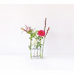 ＴＡＭＩＷ「ｆｌｏｗｅｒ　ｖａｓｅｓ」