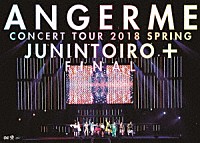 ＡＮＧＥＲＭＥ「 アンジュルム　コンサートツアー２０１８春十人十色＋ファイナル」