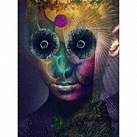 ＤＩＲ　ＥＮ　ＧＲＥＹ「 ＴＨＥ　ＩＮＳＵＬＡＴＥＤ　ＷＯＲＬＤ」