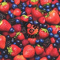 髭（ＨｉＧＥ）「 ＳＴＲＡＷＢＥＲＲＹ　ＴＩＭＥＳ　（Ｂｅｒｒｙ　Ｂｅｓｔ　ｏｆ　ＨｉＧＥ）」