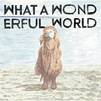 ＹＡＳＵＹＵＫＩ　ＨＯＲＩＧＯＭＥ「 Ｗｈａｔ　Ａ　Ｗｏｎｄｅｒｆｕｌ　Ｗｏｒｌｄ」